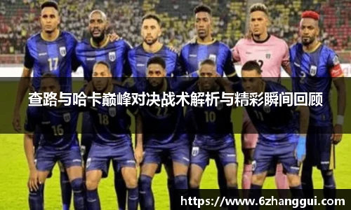 yy体育